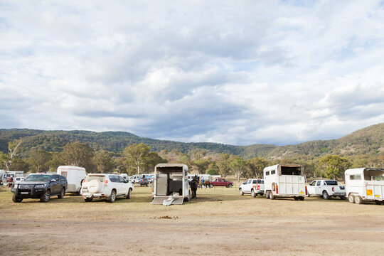 Horse trailers and cars with horse floats parked at the showground
