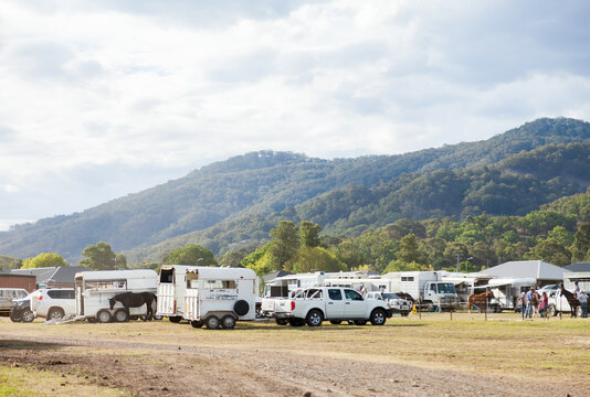 Horse trailers and cars with horse floats parked at the showground