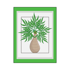 palm illustration
