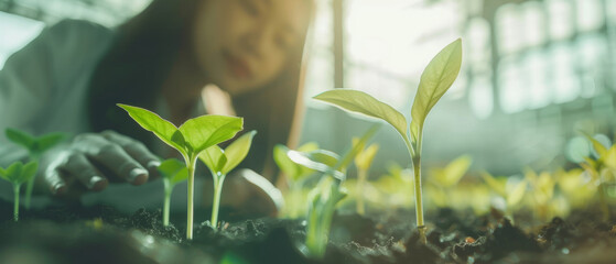 Woman nurturing plant seedlings bathed in gentle sunlight, evoking growth and sustainability. - obrazy, fototapety, plakaty