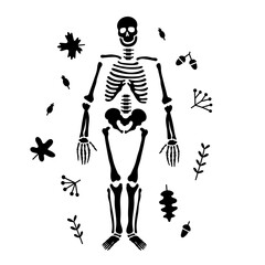 Vector Halloween illustration hand-drawn black autumn skeleton silhouette. Isolated SVG for Cricut