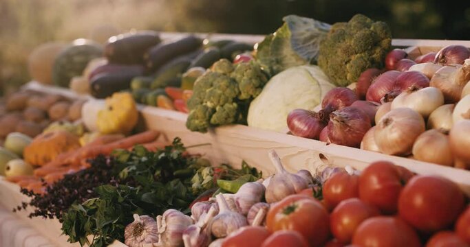 The sun's rays illuminate a vegetable stand at a farmers' market