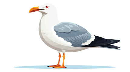 Seagull vector animal isolated illustration on white
