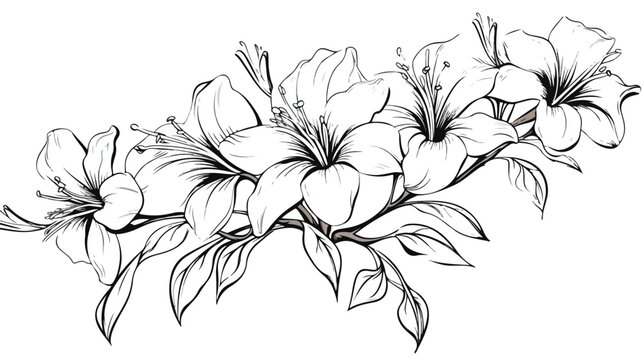 Sketch of blooming Floral Branch. Hand drawn vector