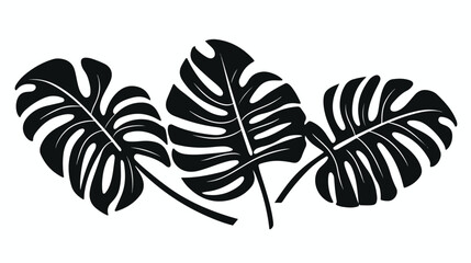 Sprig of monstera leaves woven drawn in black lines