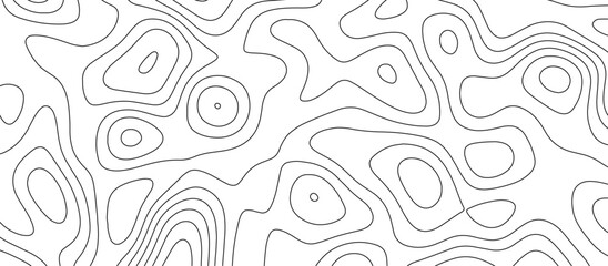 abstract white wave paper curved reliefs background. Topography map pattern, Geographic curved, vector illustration. seamless textrue, vintage waves. Panorama view multicolor wave curve line.