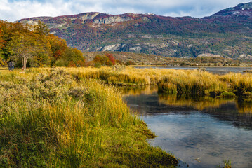 Fototapeta na wymiar Tierra del Fuego National Park, Patagonia, Argentina