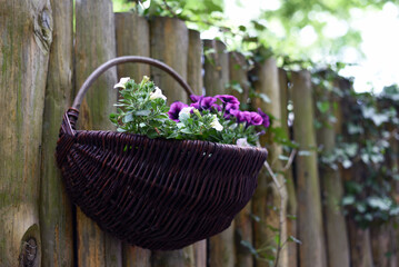 Baskets of flowers on a wooden wall