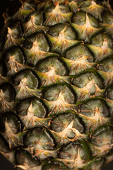 Skin of fresh pineapple. Texture of pineapple peels