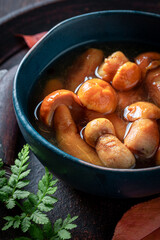 Homemade and delicious porcini mushrooms marinated in vinegar. - 759640511