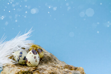 Easter greeting card with blurred lights, glare, eggs on wooden table. Quail eggs on a blue background with space for copy, text and advertising. Beautiful Easter banner, white feather