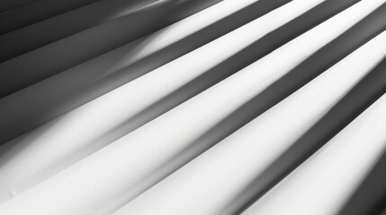 Obraz premium Branch with Leaves Casting Shadows on White Wall