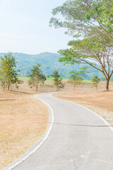 Road in the middle of the forest and Winding gravel road through sunny green Forest,ascending to the top of the hill with mountain nature landscape.