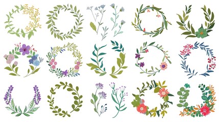  Botanical collection. Herbs, leaves, flowers. A set of decorative elements. flower wreaths for registration of the invitation for a holiday.