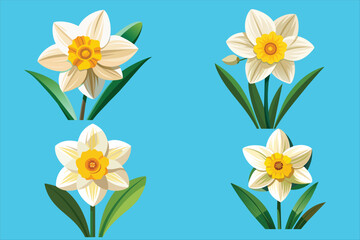 Narcissus Flower icon vector illustration