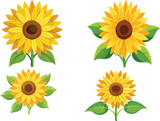 sunflower flat vector illustration white background