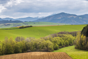 Spring landscape with green meadows and mountains in the background. View of The Velka Fatra national park in Slovakia, Europe