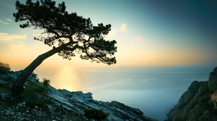 Tree and sea at sunset. Crimea landscape. Nature background - obrazy, fototapety, plakaty
