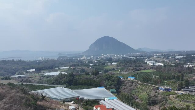 제주 곶자왈도립공원