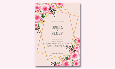 Hand drawn daisy floral card set