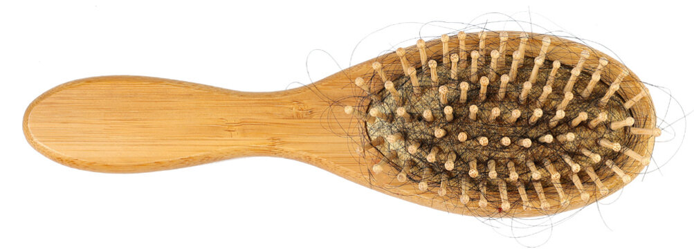 Alopecia hair loss problem, health care concept. Closeup dirty hairbrush with a bunch of loss long hair inside, isolated on white background.