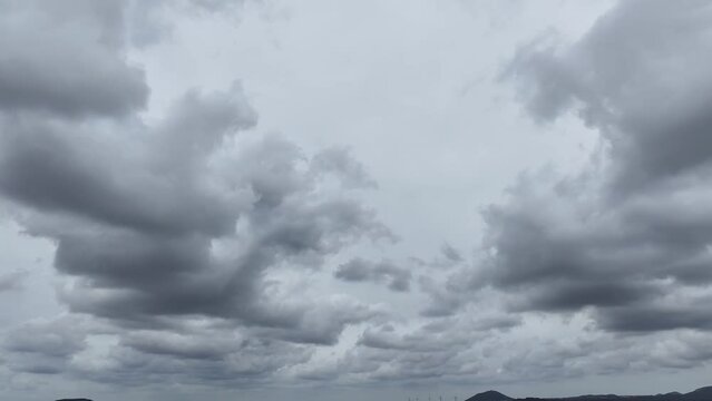 제주 곶자왈도립공원