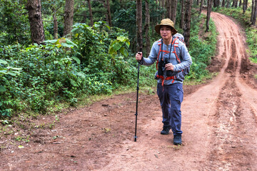 Hiker Asian man with backpack and hiking stick trekking in national forest