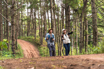 Naklejka na ściany i meble Asian hiker man and woman with hiking stick trekking in national forest trail