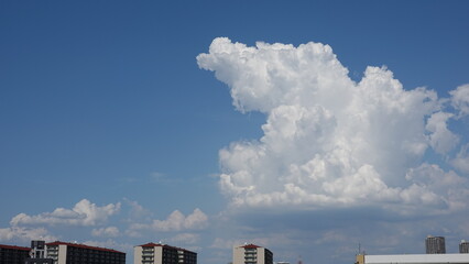 夏空と入道雲