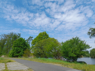 Natur am Havelradweg bei Götz