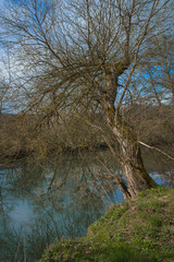 Am Lahnufer die Uberschwemmungsauen