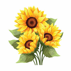 Composition from three sunflowers on a white background