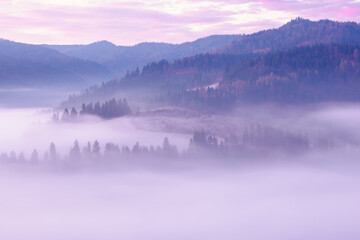 Landscape in the morning. There is fog in the valley. View of the Tatra Mountains from the Pieniny Mountain Range. Slovakia.