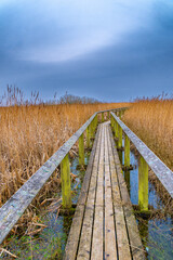 Obraz premium Nature 2000 bird reservation Han Vejle in Thy., Denmark