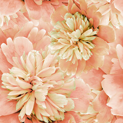 Seamless floral  background.   Flowers   peonies and petals peonies. Close up.