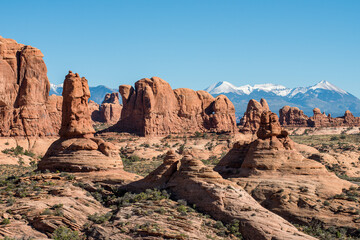 Obraz premium Arches National Park and La Sal Mountains near Moab in Utah. The park contains more than 2000 natural sandstone arches.