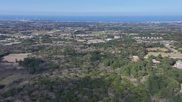 제주 곶자왈도립공원