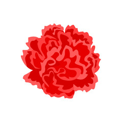Red carnation isolated on white background. Flower head icon. Vector cartoon illustration.