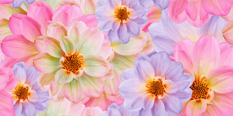 Seamless floral  background. Flowers peonies and petals peonies. Close up.