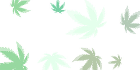 green fresh tea leaves isolated on white background