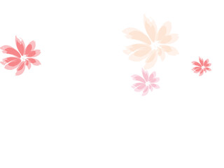 Falling cherry blooming flower parts vector..