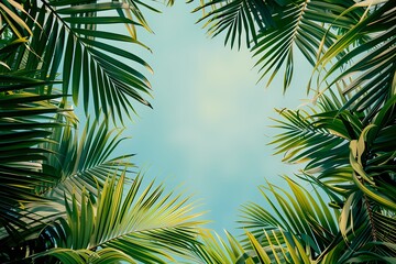 Fototapeta premium palm leaves background frame, empty copy space in the middle