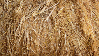 Abstract texture of hay bale, straw backdrop, dry grass background, agricultural concept
