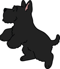 Simple and adorable black Scottish Terrier illustration jumping