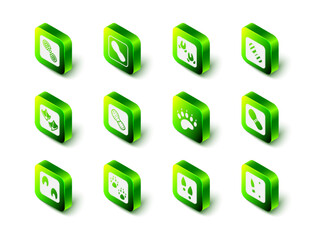 Set Human footprints shoes, Wild boar paw, Bear, and Paw icon. Vector
