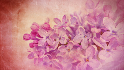 Floral spring background.  Vintage watercolor background of lilac flowers.  Close-up. .Lilac bunch.