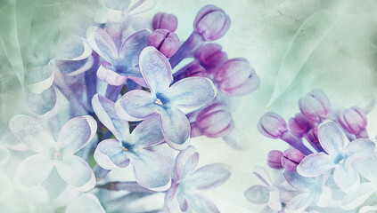 Obraz premium Floral spring background. Vintage watercolor background of lilac flowers. Close-up. .Lilac bunch.