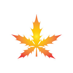 maple leaf vector