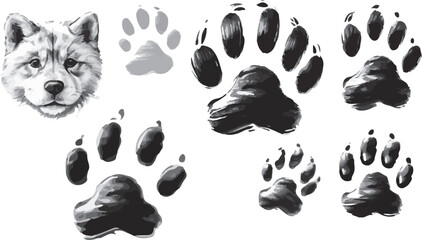 Playful Dog Paw Vector Collection