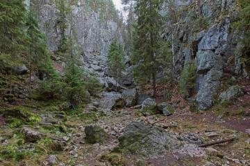 Pirunpesä (Devil´s Nest) is a gorge cutting through the quartzite bedrock at Tiirasmaa nature...